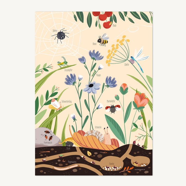 Krabbeltiere / Insekten / Erde und Wiese / Wimmelbild Poster DIN A3