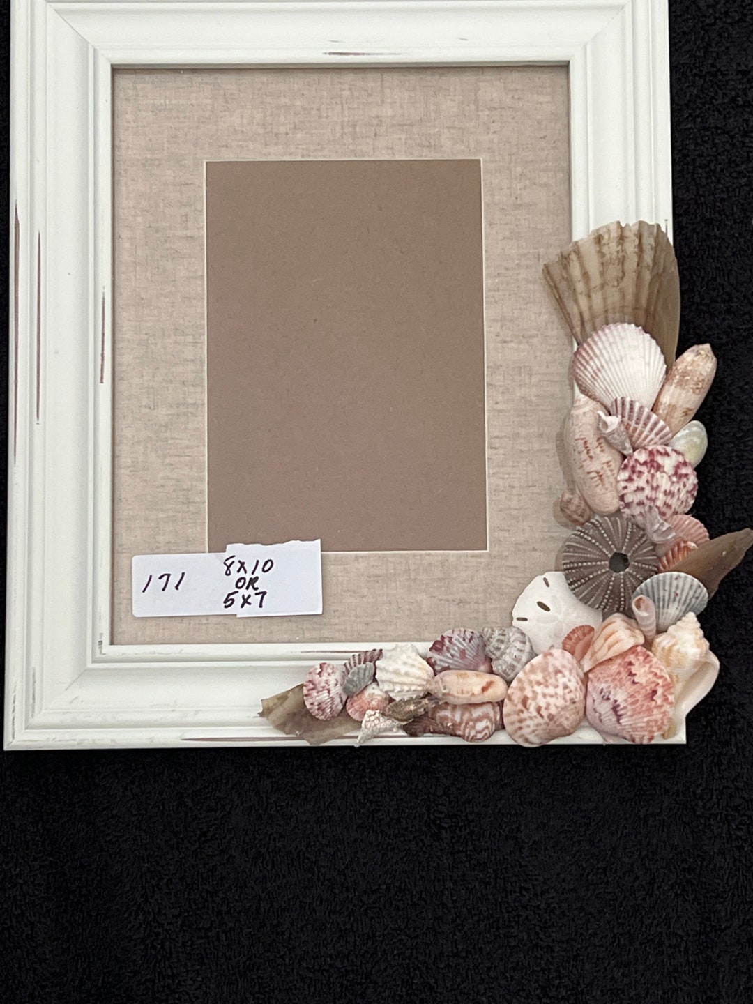 Shell Frame - Etsy