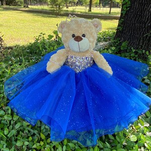 royal blue teddy bear coat