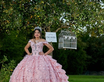Blush Quinceanera Dress With 3D Floral 