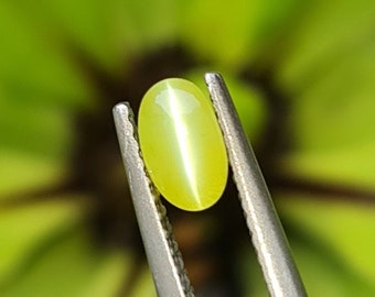 Cats eye, Natural chrysoberyl cats eye. 0.73ct. Apple green. Perfect cats eye. CD248