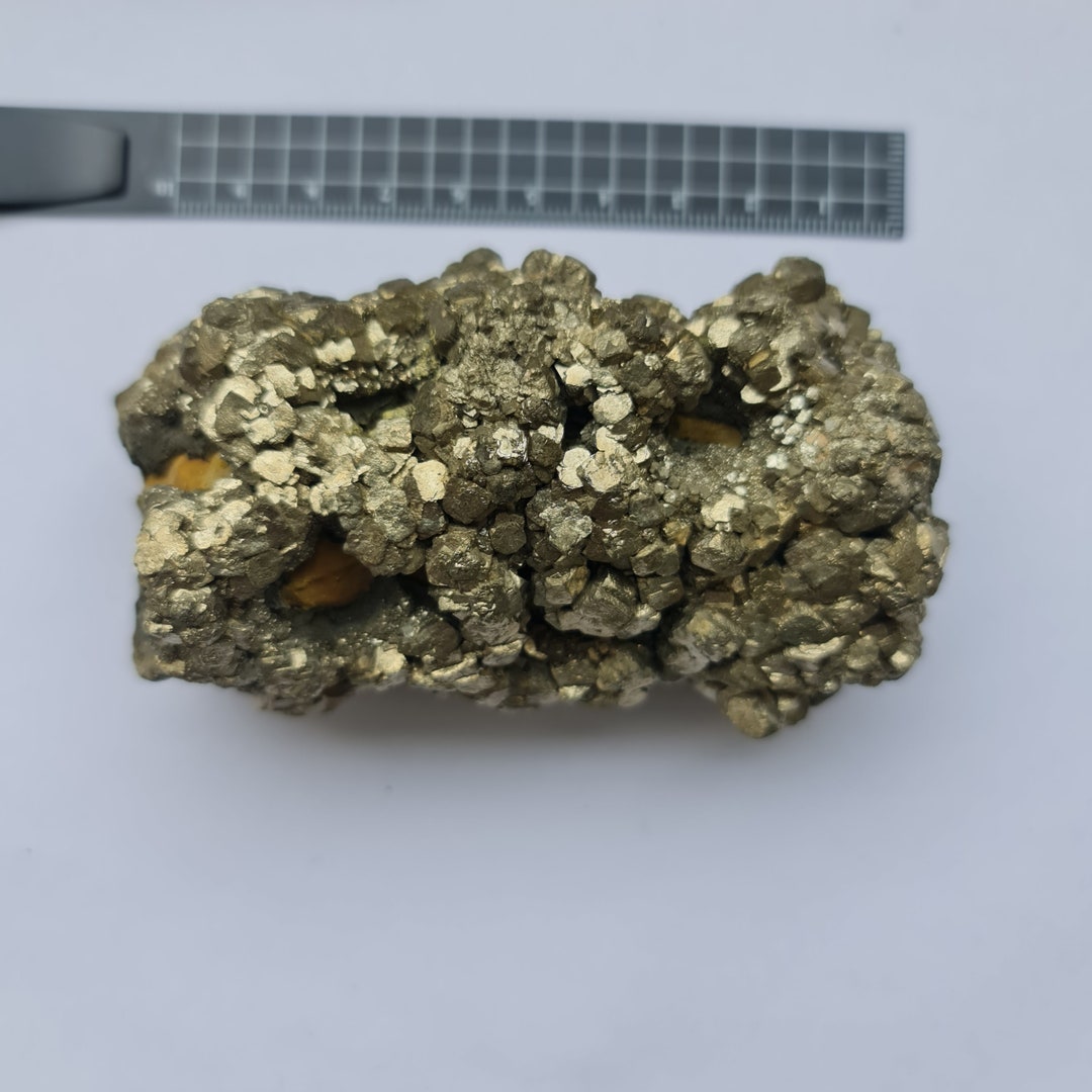 Phywe Sample Rocks Natural Pyrite in Host Rock Specimen. Natural Formation. Collectors ...