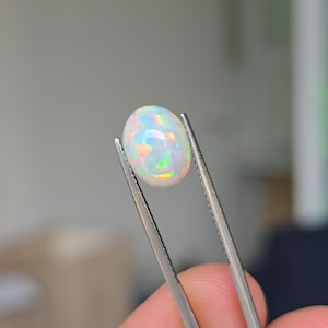 Könnte beinhalten: Ein ovales Opal-Edelstein, der von einer Pinzette gehalten wird. Der Opal zeigt ein Farbspiel mit grünen, gelben und roten Blitzen in einer milchig-weißen Basis. Der Edelstein ist glatt und poliert und reflektiert das Licht.