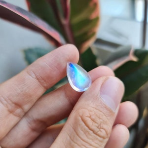 May include: A teardrop-shaped iridescent moonstone with a blue and white sheen.