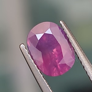 May include: A vibrant pink oval-shaped gemstone with a faceted cut. The gemstone is held in a pair of tweezers.