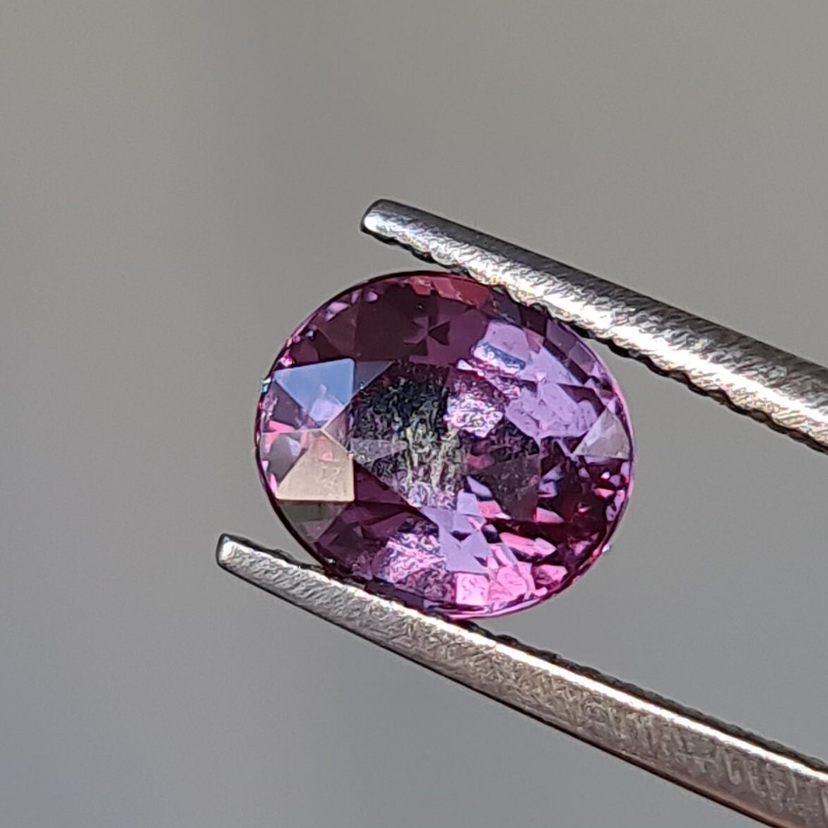 CD G-SCHMITT:alternative garnet G-シュミット Garnet In Mica Schist Specimen. Gemstones Crystals Rocks