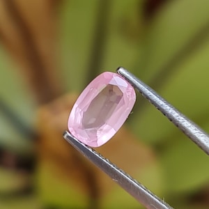 May include: A pale pink, oval-cut gemstone held by silver tweezers. The gemstone has a faceted surface, reflecting light. The background is a blurred mix of green and brown, suggesting a natural setting. The gem is likely a sapphire or tourmaline.