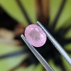 May include: A pink oval gemstone held by tweezers. The gemstone is faceted and has a light pink hue.