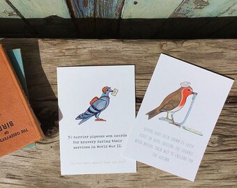 Bird Stories Robin and Pigeon Blank Greetings Card Set of Two - Free UK Postage!  Birdwatching Wildlife Cards Coastal & Wader Birds