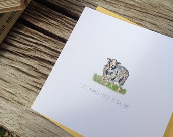 Always Lovely to See Ewe Sheep Blank Greetings Card - Free UK Postage!  Countryside  Wildlife Card - Illustration