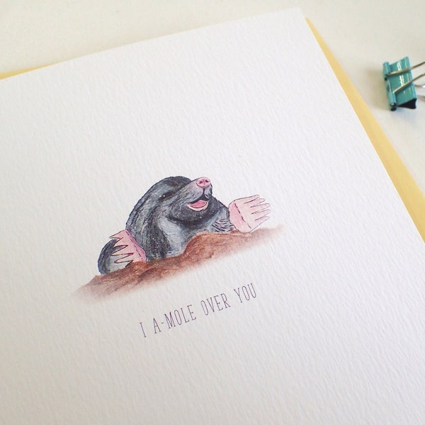 I A-Mole Over You Valentines Blank Greetings Card - Free UK Postage!  Countryside  Wildlife Card - Illustration