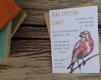 Birdwatching: Linnet Identification Farm Land Blank Greetings Card Free Postage RSPB Twitching Bird Spotting Birding Wildlife Nature