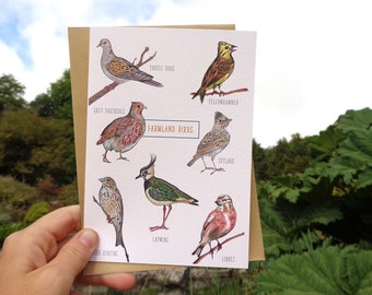 Farmland Birds Greetings Card - Free UK Postage! Lapwing Birding Nature Wildlife Card - Illustration
