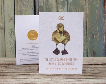 Gos the Gosling Wildlife Rescue Storybook Concertina Blank Greetings Card for Charity