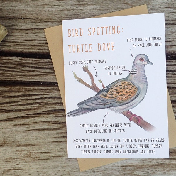 Birdwatching: Turtle Dove Identification Blank Greetings Card Free Postage RSPB Twitching Bird Spotting Duck Birding Wildlife Nature