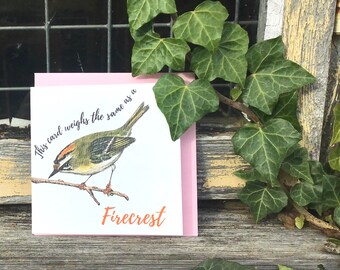 May include: A square greeting card with a pink border featuring a detailed illustration of a small bird perched on a branch. The text reads, "This card weighs the same as a Firecrest" in black script and orange block lettering on a white background.