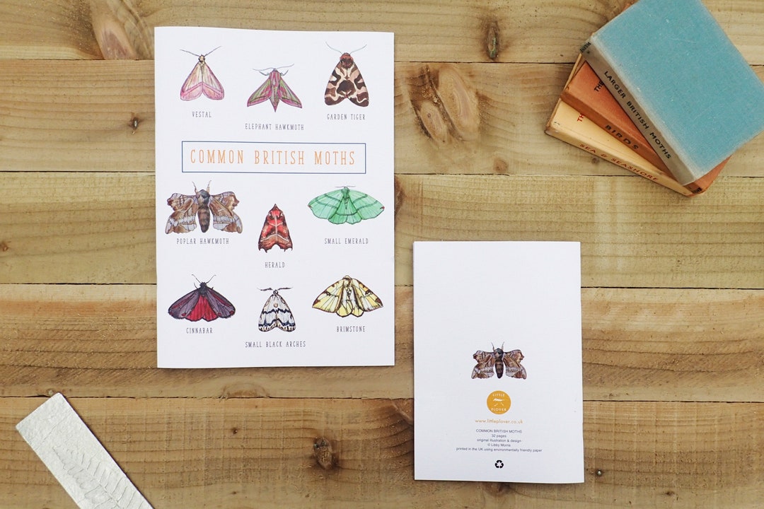 Moth Notebook Common British Moth Notebook Multiple Sizes Wildlife - Etsy