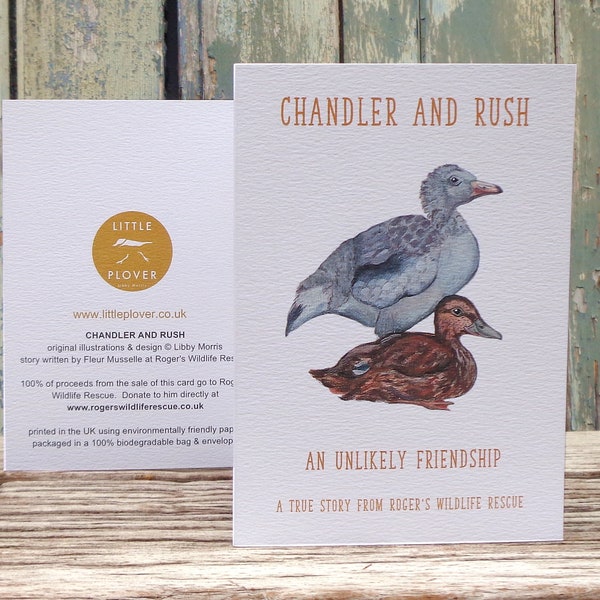 Chandler & Rush Duck Friends Wildlife Rescue Storybook Concertina Blank Greetings Card for Charity