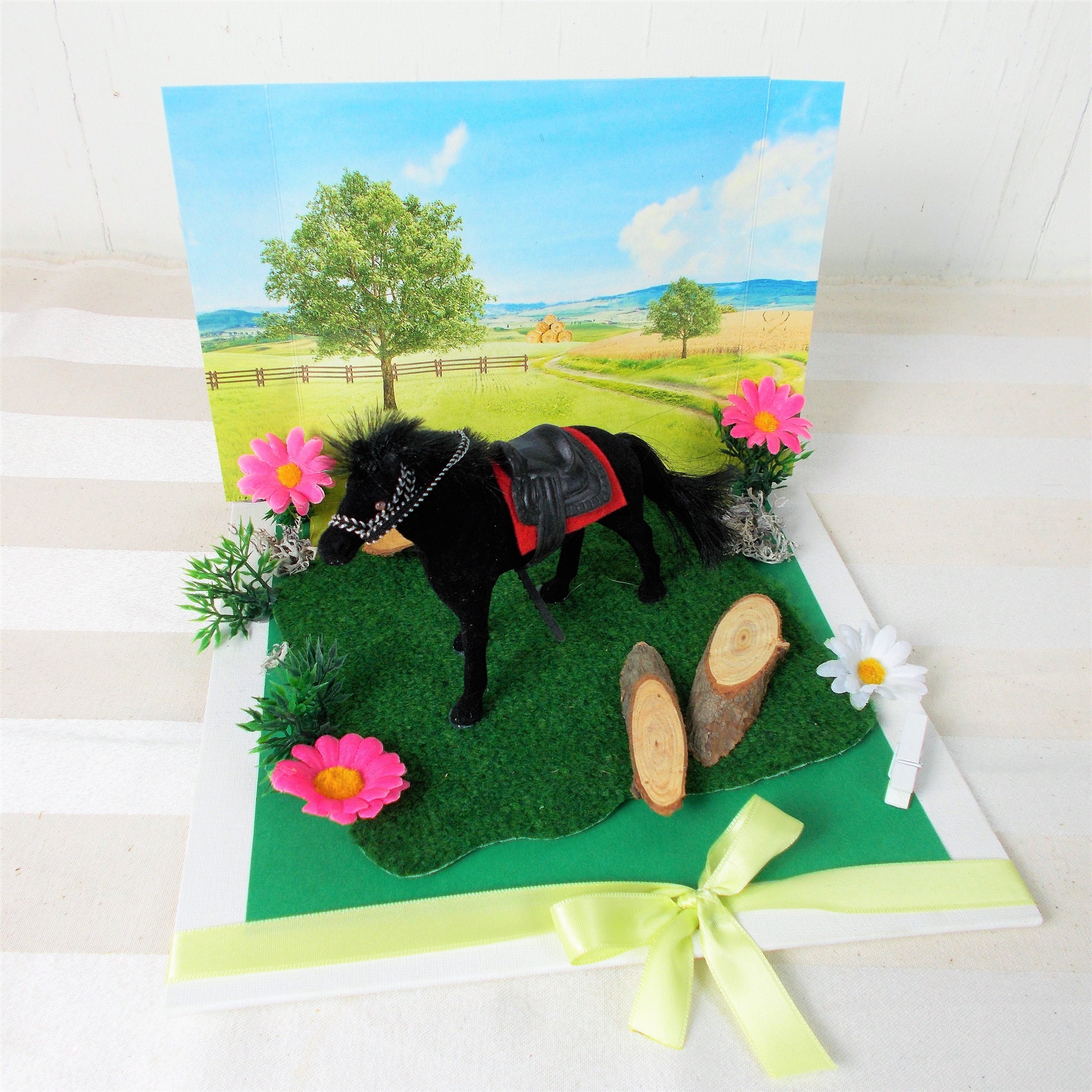 Money gift birthday riding horse birthday gift Etsy