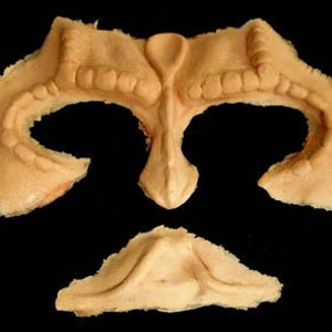 Star Trek Makeup - Foam Latex Prosthetic Cardassian Brow & Chin