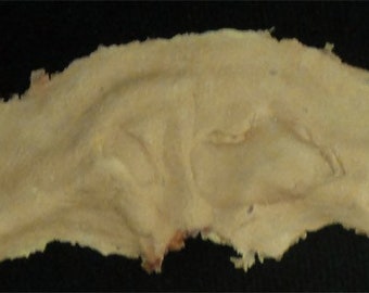 Special FX - Zombie Exposed Brow - Foam Latex Prosthetic