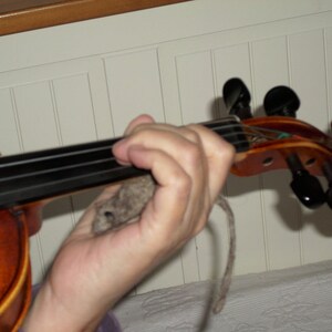 Mice violin, viola Nigel, harp guinea pigs image 1