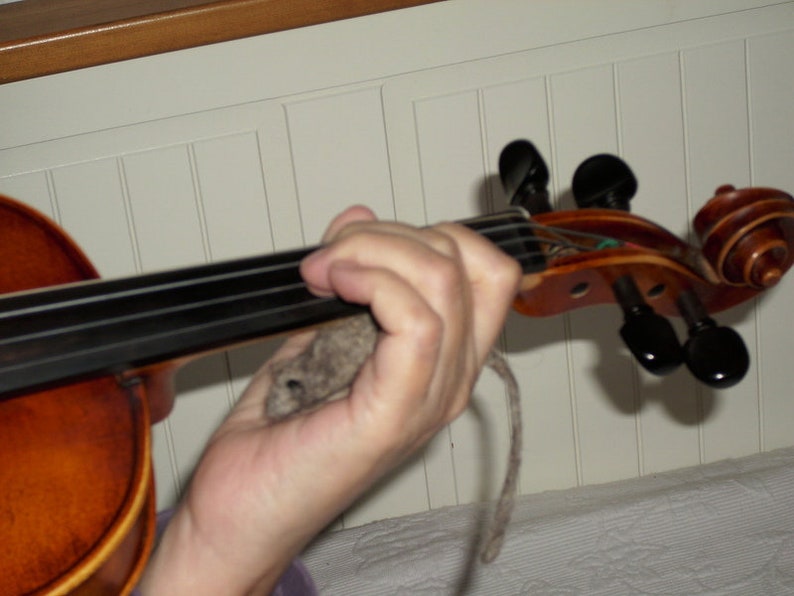 Mice violin, viola Nigel, harp guinea pigs image 1