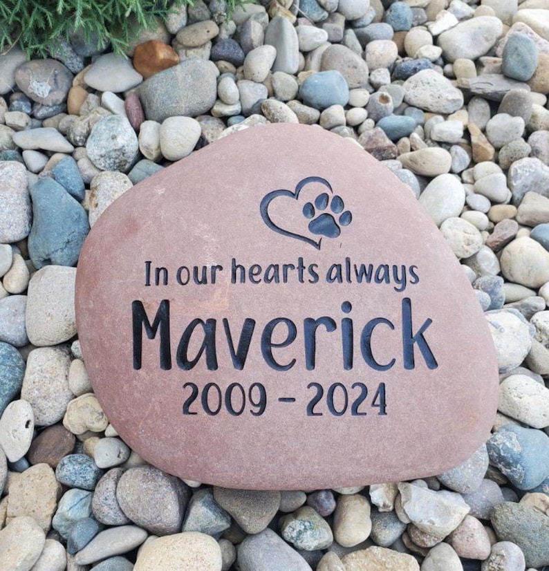 May include: A smooth, tan-coloured memorial stone featuring an engraved heart and paw print symbol. The text reads In our hearts always, the name Maverick, and the years 2009-2024. The lettering and graphic are deeply etched in a dark, contrasting colour.