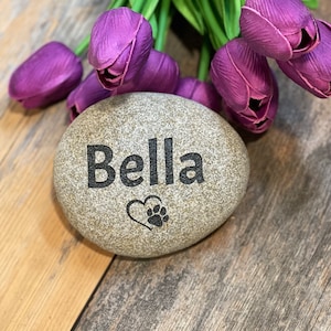 May include: A gray stone with the name "Bella" engraved on it, along with a heart and paw print. The stone is surrounded by purple tulips.