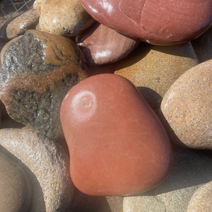 May include: A collection of smooth, rounded river rocks in various earth tones. The stones range in color from light tan and beige to deep red and brown. The rocks have a polished, wet appearance, suggesting they have been recently washed.