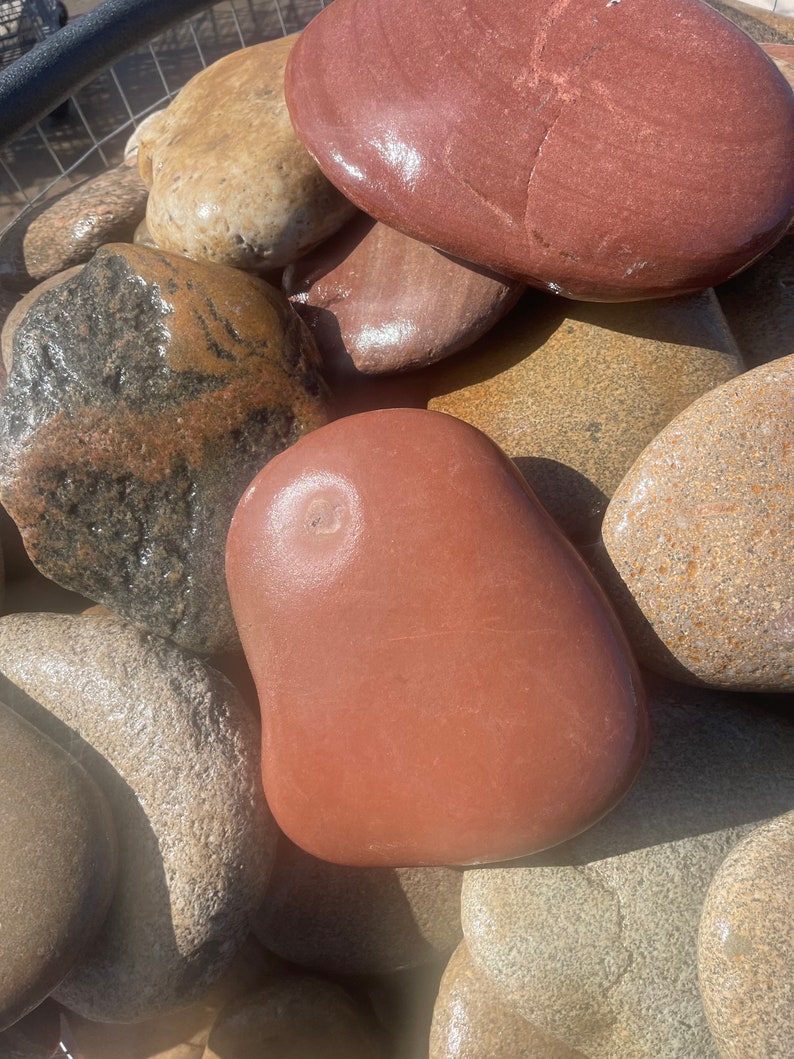 May include: A collection of smooth, rounded river rocks in various earth tones. The stones range in color from light tan and beige to deep red and brown. The rocks have a polished, wet appearance, suggesting they have been recently washed.