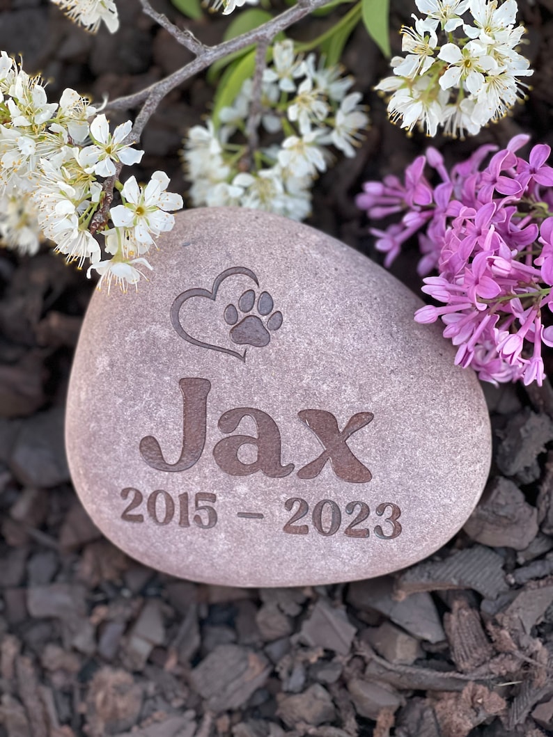 May include: A gray memorial stone with the name "Jax" and the years "2015-2023" engraved on it. A heart with a paw print is above the name. The stone is surrounded by white and purple flowers.