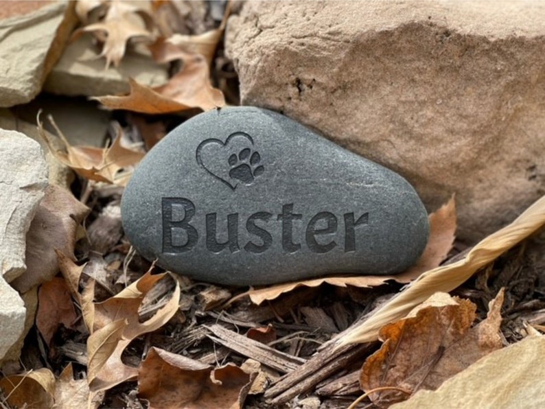 May include: A gray stone memorial with the name "Buster" engraved in a serif font. A heart and paw print design is above the name. The stone is surrounded by leaves and rocks.