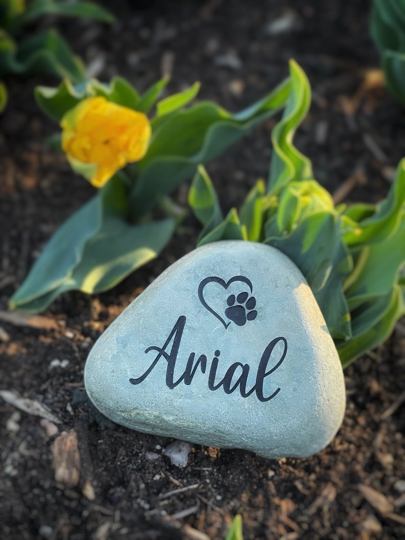 May include: A light gray, smooth river stone with the name "Arial" in black script. A black heart and paw print design is above the name. The stone is surrounded by green leaves and a yellow flower.