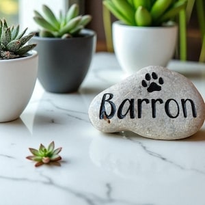 May include: A gray river rock with the name "Barron" in black lettering and a paw print symbol. The rock is on a white marble surface, with potted succulents in the background.