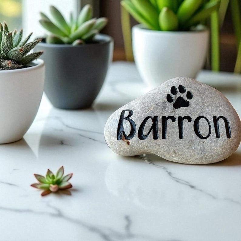 May include: A gray river rock with the name "Barron" in black lettering and a paw print symbol. The rock is on a white marble surface, with potted succulents in the background.