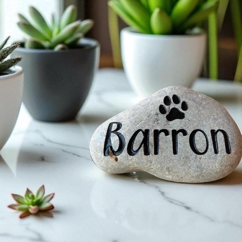 May include: A smooth, light grey river stone featuring the name Barron engraved in black lettering, accompanied by a black paw print icon positioned above the name. The stone has an irregular, rounded shape and a natural, speckled texture.