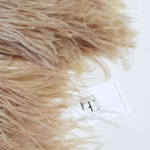 Brown natural ostrich feathers on a ribbon, MC013