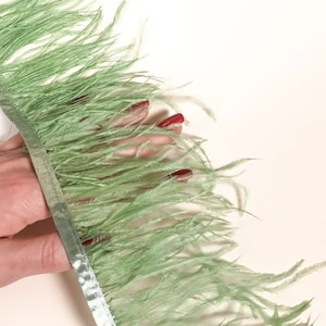 Moss green natural ostrich feathers on a ribbon, MC048