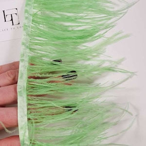 Green natural ostrich feathers on a ribbon, MC068
