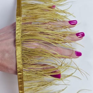 Mustard green natural ostrich feathers on a ribbon, MC035