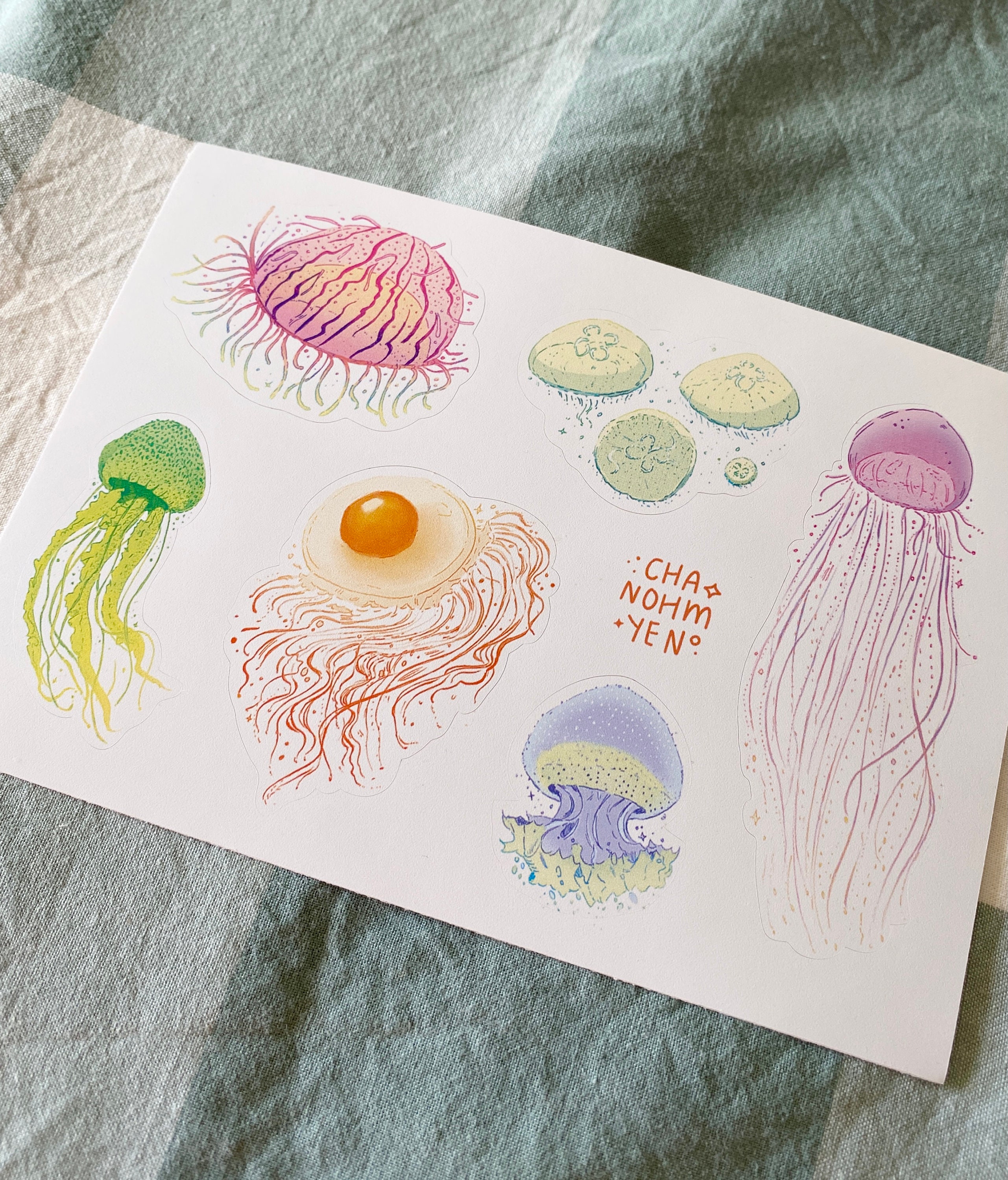 Jellyfish Vinyl Sticker Sheet Etsy Australia