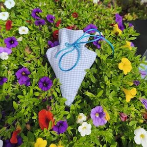 May include: A light blue and white gingham fabric pouch with a blue drawstring closure. The pouch is surrounded by vibrant green foliage and colorful flowers in shades of purple, yellow, red, and white.