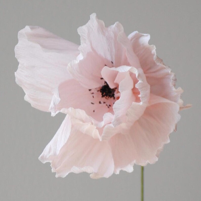 Puede incluir: Primer plano de una flor de papel rosa p&aacute;lido con p&eacute;talos arrugados y texturizados. El centro de la flor es oscuro y moteado. El tallo es de un verde apagado.