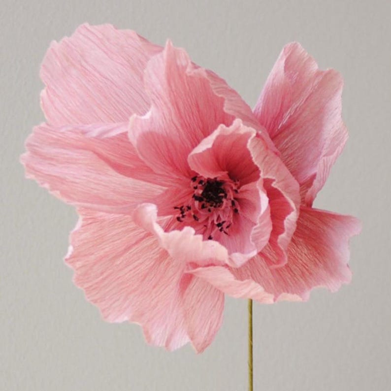 Puede incluir: Una flor de papel rosa claro hecha a mano, con un centro oscuro y un tallo verde fino. Los p&eacute;talos de la flor son rizados y texturizados, creando una apariencia delicada y realista. La flor est&aacute; sobre un fondo gris claro.