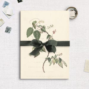 Printable Vellum Overlay, Digital Download Wedding Vellum Overlay, 5x7 Vellum Overlay, Digital Vellum