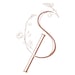 Signature Paperie