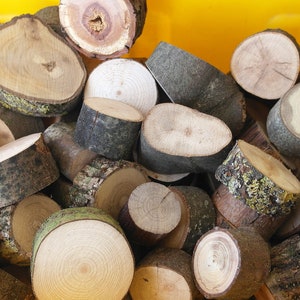 Pieces of wood for crafting and decorating, 30 pieces, knot discs, decorative wood, wooden discs, craft wood,