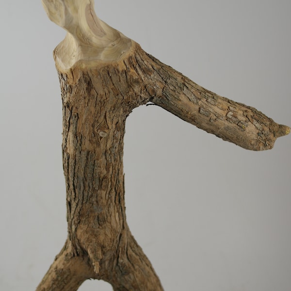 Skulptur aus Holz, Holzkunst,Holzskulptur,Holzfigur, Kunstfigur, Holz , Figur, Kunst, Eiche,  Wohndeko, Holzdeko,