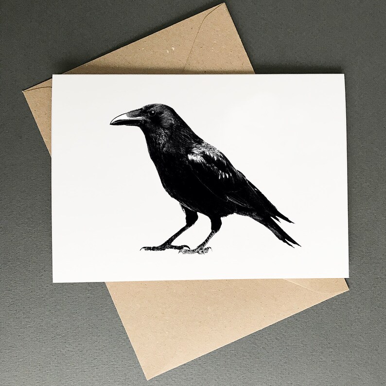 K&ouml;nnte beinhalten: Eine Schwarzwei&szlig;illustration eines Rabens mit gefalteten Fl&uuml;geln. Der Rabe blickt nach rechts und hat einen langen Schnabel.